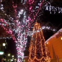 RKKs big Christmas tree, Минамата