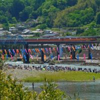 豊後大野市　犬飼のどんこ釣り大会！ A fishing tournament...but the participating people seem to enjoy in a river., Сузука