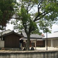 御所市東辻・熊野神社, Нагано