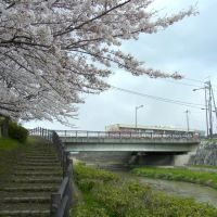 桜橋 御所市にて Sakura-bashi 2012.4.07, Нагано