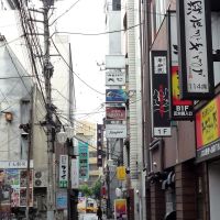 Sengoku-gai Alley 千石街, Саку