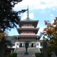 Zenkouji Temple (善光寺2), Сува