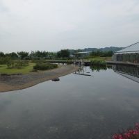 Small Park Pond, Исахая