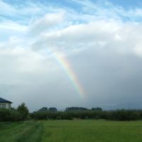 Rainbow in Sagae, Сасэбо