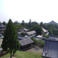 View from Nigatsu-Do, Кашихара