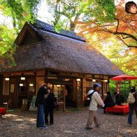 水谷茶屋, Нара