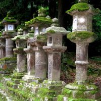 Stone Lanterns, Kasuga Taisha Shrine, Nara, Kansai, Japan, Нара