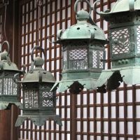 Bronze lanterns at Kasuga Shrine, Нара