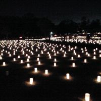 Nara Tokae Festival 04, Нара