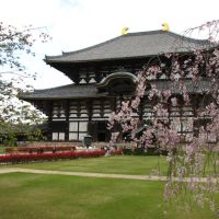 Templo Todaiji, Нара