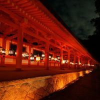 Kasuga Shrine, Нара