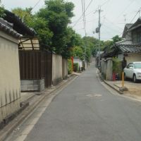 A street to Tenjin, Сакураи