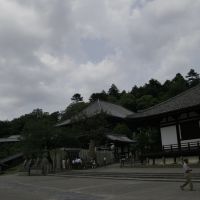 二月堂と三月堂, Сакураи