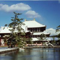 東大寺大仏殿 Toudaiji Daibutsuden, Сакураи
