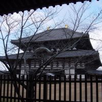 Nara   Todai-ji-temple  2.1324, Сакураи