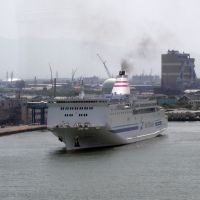 ferry lilac, Кашивазаки
