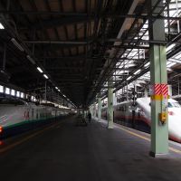 新潟駅　新幹線ホーム  / Niigata Sta. Japan, Цубаме