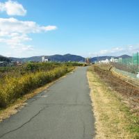 吉備路自転車道, Курашики