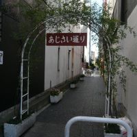 あじさい通り (埼玉県草加市) (Ajisai Lane, Soka, Saitama, Japan), Сока