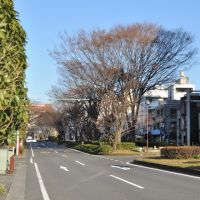 Hinode-chō, Aoi-ku, Shizuoka City  静岡市葵区日出町  (2009.12.23), Атами