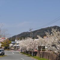 大田の桜, Ода