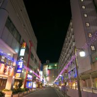 A Street in Oyama / 小山駅前の通り, Ояма