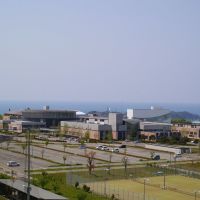 The University of Shimane 島根県立大学, Хамада