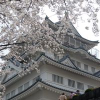 Chiba Castle@Inohana Park 20070401-112209, Савара