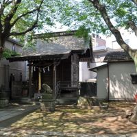 Ryūzō-Jinja  龍蔵神社  (2009.04.29), Савара