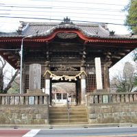 Niō-mon Gate, Chiba-dera Temple  千葉寺 仁王門  (2009.02.11), Хоши