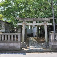 Ryūzō-Jinja  龍蔵神社  (2009.04.29), Хоши