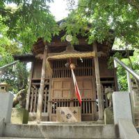 Suwa-Jinja  諏訪神社  (2009.07.25), Хоши