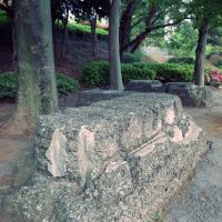 Remains of Railroad Regiment, Chiba Park 千葉公園 鉄道第一連隊 ウインチ跡, Хоши