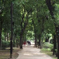 Motomura Park, Кодаира