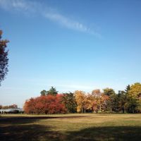 小金井公園, Кодаира