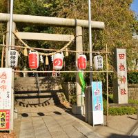 田無神社　鳥居　Tanashi shinto shrine, Кодаира