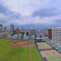 Kōtō City Kameido Baseball Ground 亀戸野球場, Мачида