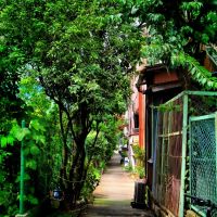 Alley in Kitasuna 北砂 暗渠路地 [ys-waiz.net], Мусашино