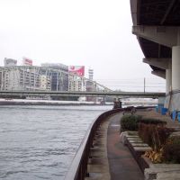 Homeless shelters along the Sumida River, Тачикава