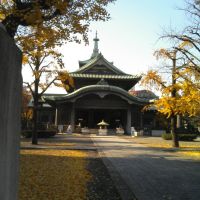 東京都慰霊堂, Тачикава