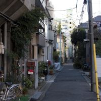 Kotoku-Botan（江東区牡丹３丁目付近）, Токио