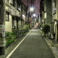 Street in Etchujima 2-chome (219), Хачиойи