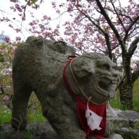 三島神社　狛犬（徳島市指定有形文化財）, Анан