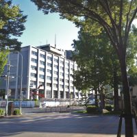 鳥取県庁, Йонаго