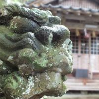 鳥取　山上神社の狛犬, Йонаго