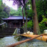 鳥取塩釜神社, Курэйоши
