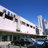 JR Toyama station (富山駅前), Камишии