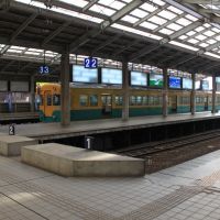 電鉄富山駅, Камишии
