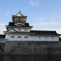 도야마城, Камишии