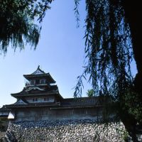 Toyama castle (化粧前の富山城), Уозу